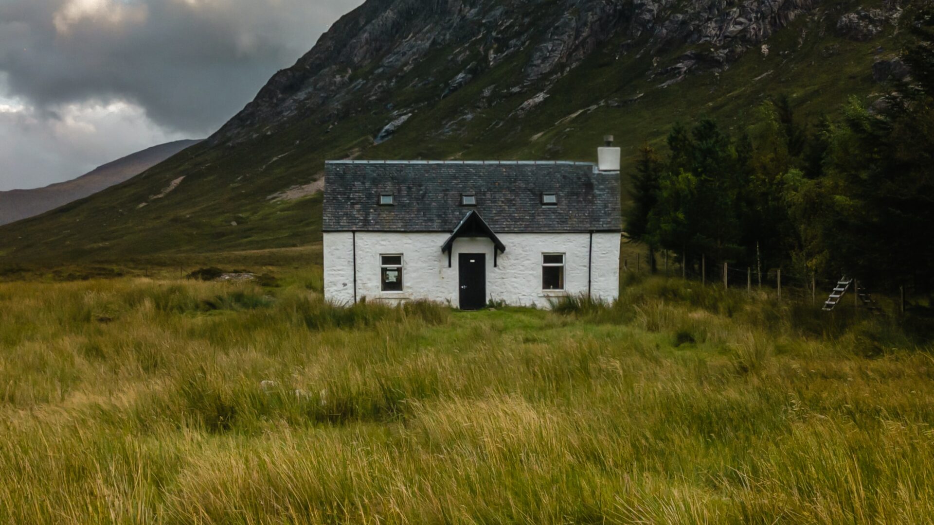 House on field